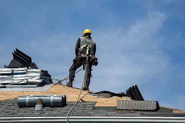 Professional Roof Replacement technician working in Clarissa, MN